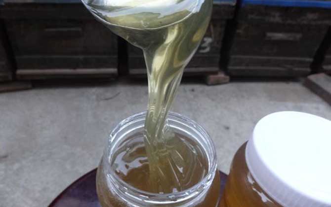 花和蜂蜜真的能结晶吗？