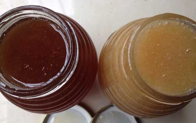 荔枝蜜和乌桕蜜哪个好？