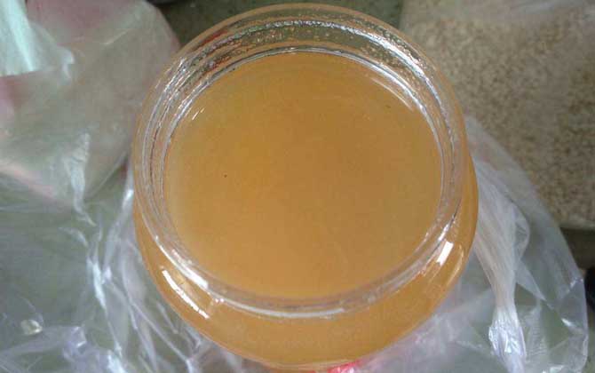 油菜花蜜的禁忌及正确饮用方法