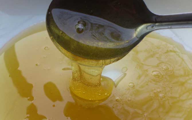枥木蜂蜜的功效、作用及食用方法