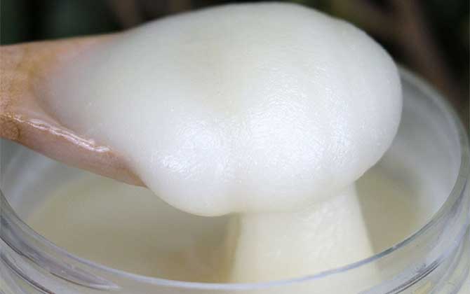 喝花蜜有什么好处？