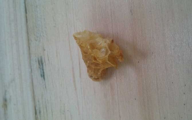 蜜蜂人工繁殖的方法和注意事项