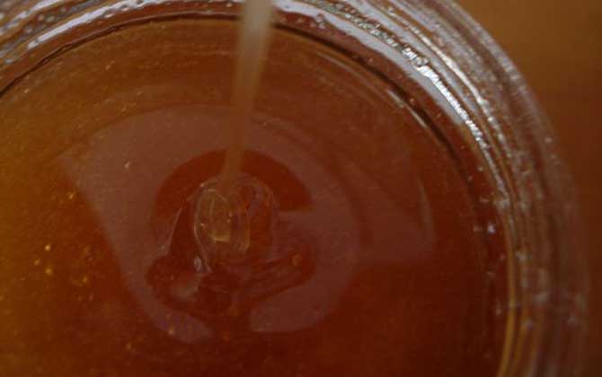沙枣花蜜的功效、作用及其食用方法
