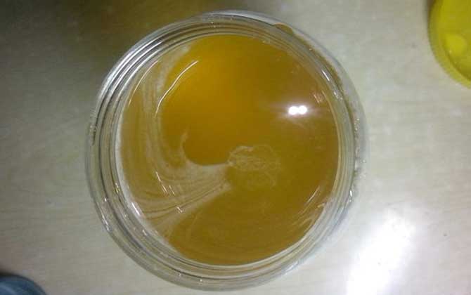 油菜蜜80元一斤贵吗？