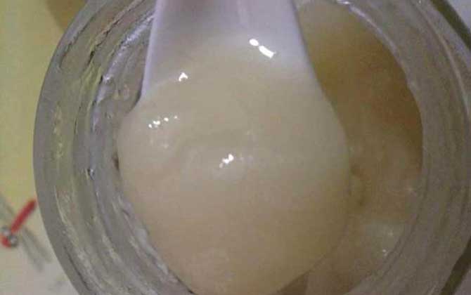 油菜蜜为什么会结晶？