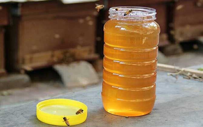 喝枣蜜能治便秘吗？