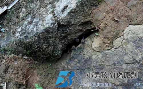 吸引蜜蜂的提示和注意事项