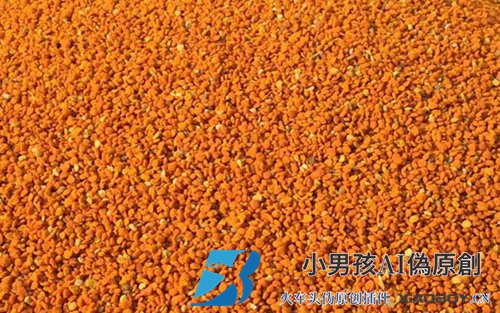 茶粉和莲花粉哪个好？