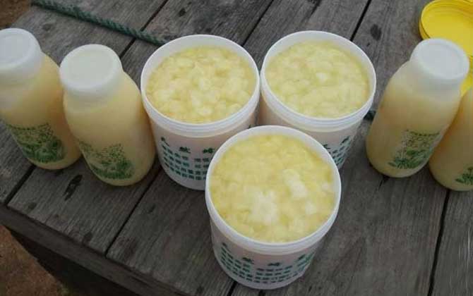 蜂王浆怎么吃最好？除了适量，还要注意蜂王浆的禁忌人群！