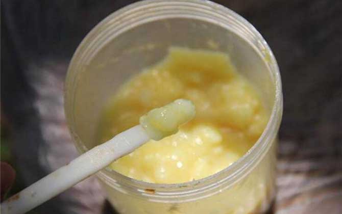 蜂王浆怎么吃最好？除了适量，还要注意蜂王浆的禁忌人群！