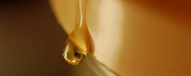 白醋蜂蜜水能减肥吗-蜂蜜水什么时候喝减肥？