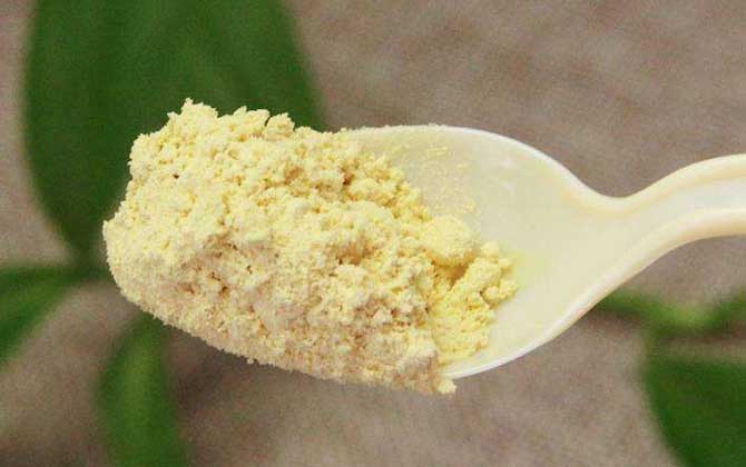 松花粉能治好那九种病吗？