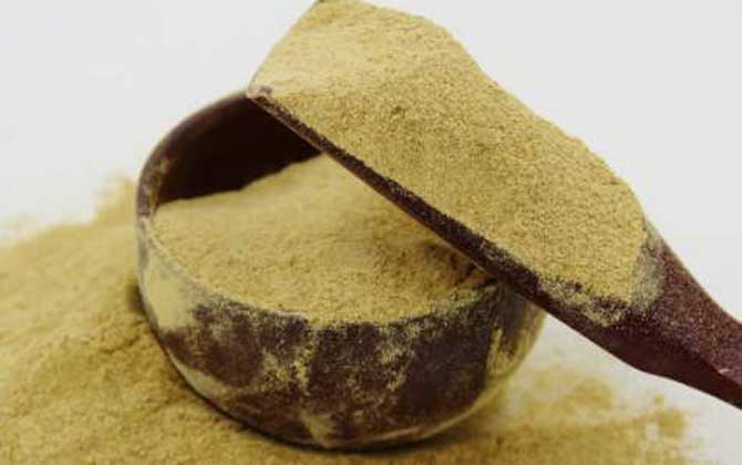 松花粉可以治疗黄褐斑吗？