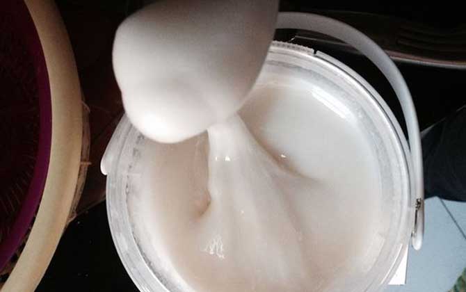 雪莲蜜怎么喝才是正确的？