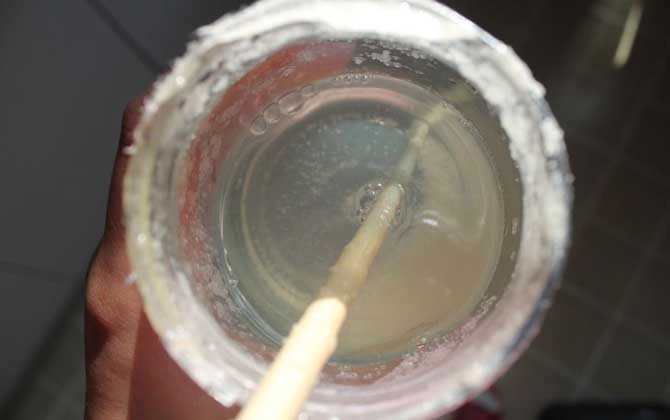 假蜂蜜有什么特点？除了外观和口感，结晶也是一个重要的特征！