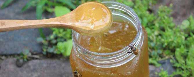 蜂蜜是凉性还是热情呢-枣蜜是热的还是冷的？