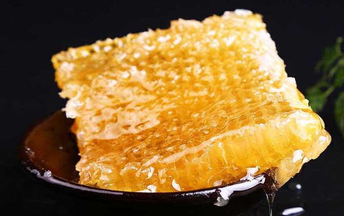 蜂巢蜜和土蜜哪个好？没有最终结论，其实土蜂也可以酿造蜂巢蜜！