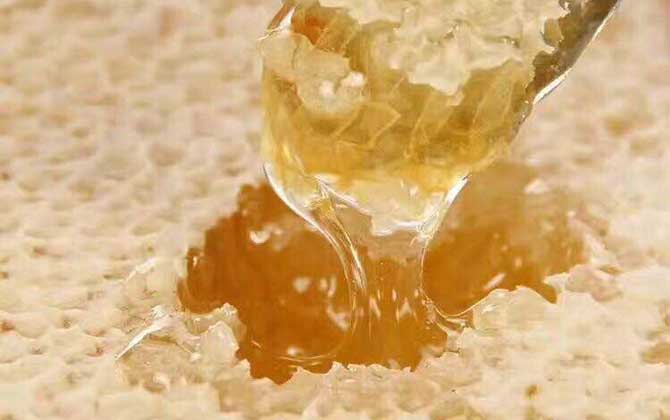 蜂巢蜜和土蜜哪个好？没有最终结论，其实土蜂也可以酿造蜂巢蜜！