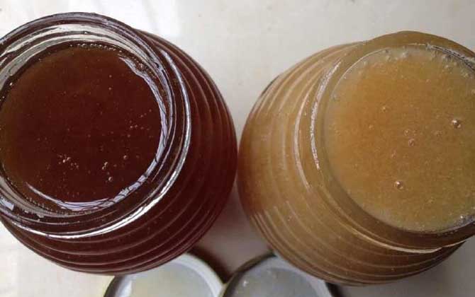乌桕蜜适合谁？