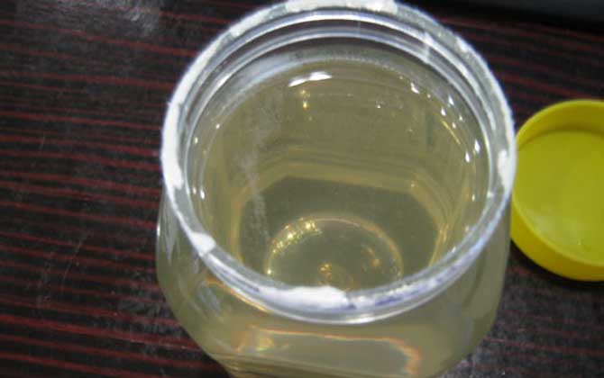 牛奶和蜂蜜有什么作用？不仅能安神助眠，对缓解痛经也很有效！