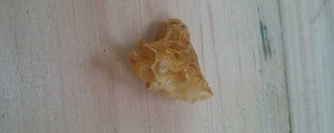 蜂王台多少钱一瓶-你多久看一次蜂王站？