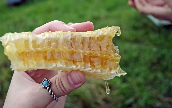 蜂蜜最大的功效是什么？