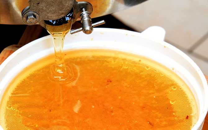 橘子蜂蜜的功能、功效及食用方法