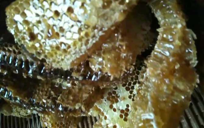 土蜂蜜的功能、功效及食用方法
