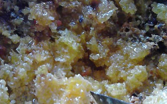 土蜂蜜的功能、功效及食用方法