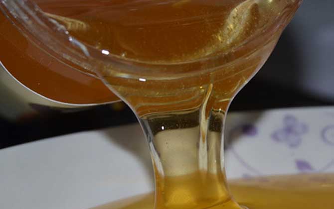 蒲公英蜂蜜的功能、功效及食用方法