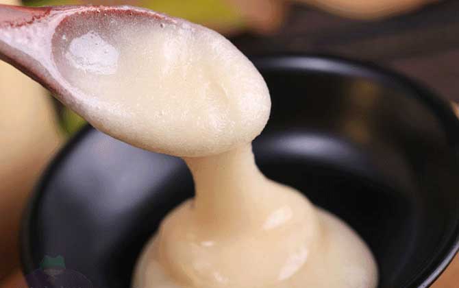 鸭脚米姆