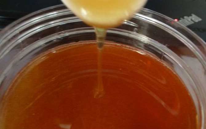 益母草蜜的功效和作用是什么？这六个好处只有经常喝才会知道！