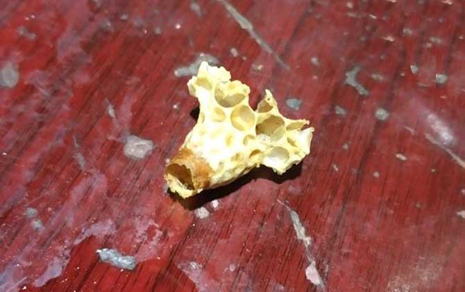 粉风王台