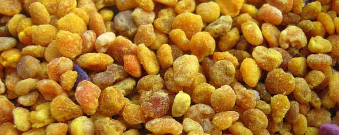 什么花粉可使人慢性中毒-谁不能吃蜂花粉？