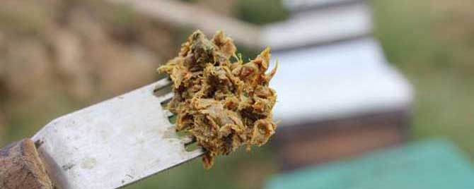 蜂胶泡酒的功效与作用及食用方法-蜂胶泡酒有哪些禁忌？