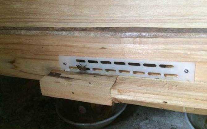 养蜜蜂的专用工具有哪些？主要是蜂箱，还有隔板，犯人笼之类的！