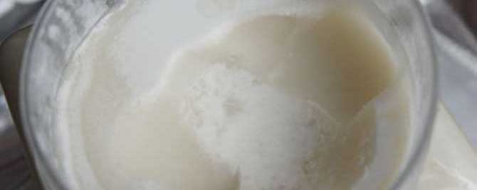 虾是凉性还是热性-雪莲蜜凉还是热？