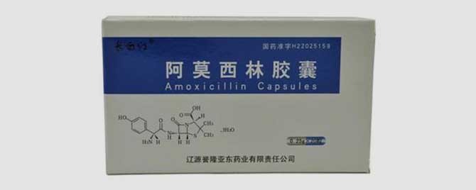 嘴烂吃阿莫西林管用吗-阿莫西林治疗蜜蜂烂籽病有效吗？